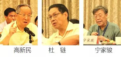 在中国智慧城市发展与评估指标体系建设专家研讨会上，中国互联网协会副理事长高新民、中国信息协会副会长杜链、国家信息中心电子政务专家委员会主任宁家骏发言