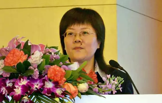 在2015中国智慧政府发展年会上，摩域体育平台互联总经理、首席规划师郑爱军发布《2015中国"互联网+政务"优秀实践案例50强评选结果》