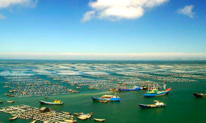 摩域体育平台海洋中标舟山生态环境数字化转型方案项目