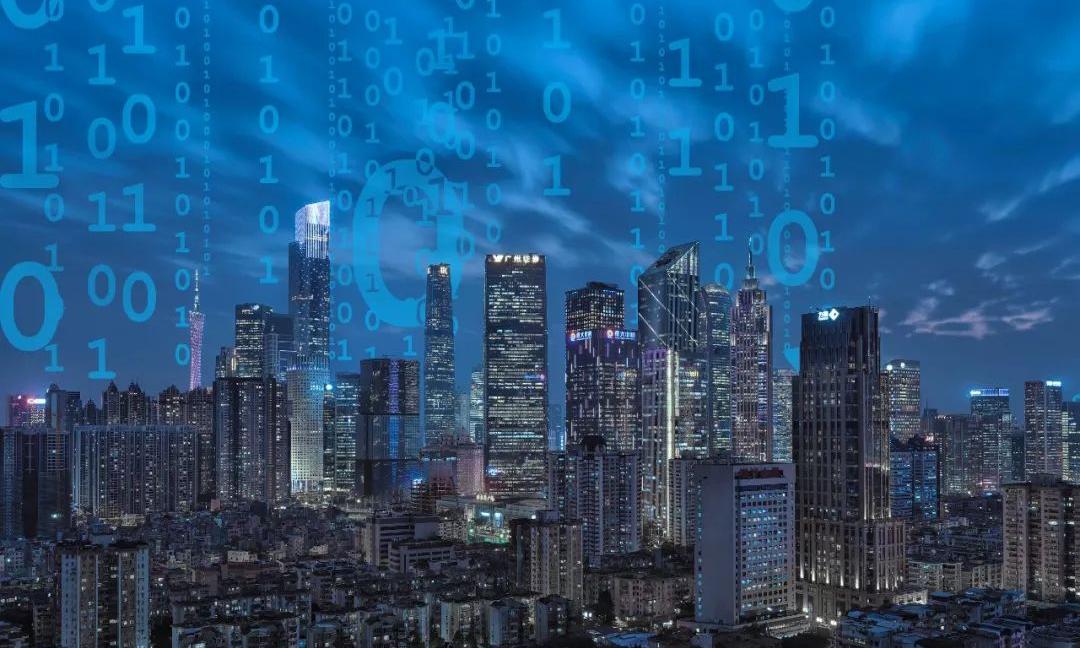 数字政府：新疆生产建设兵团信息资源目录体系建设项目