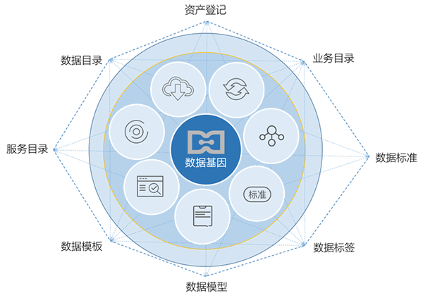 摩域体育平台数据基因